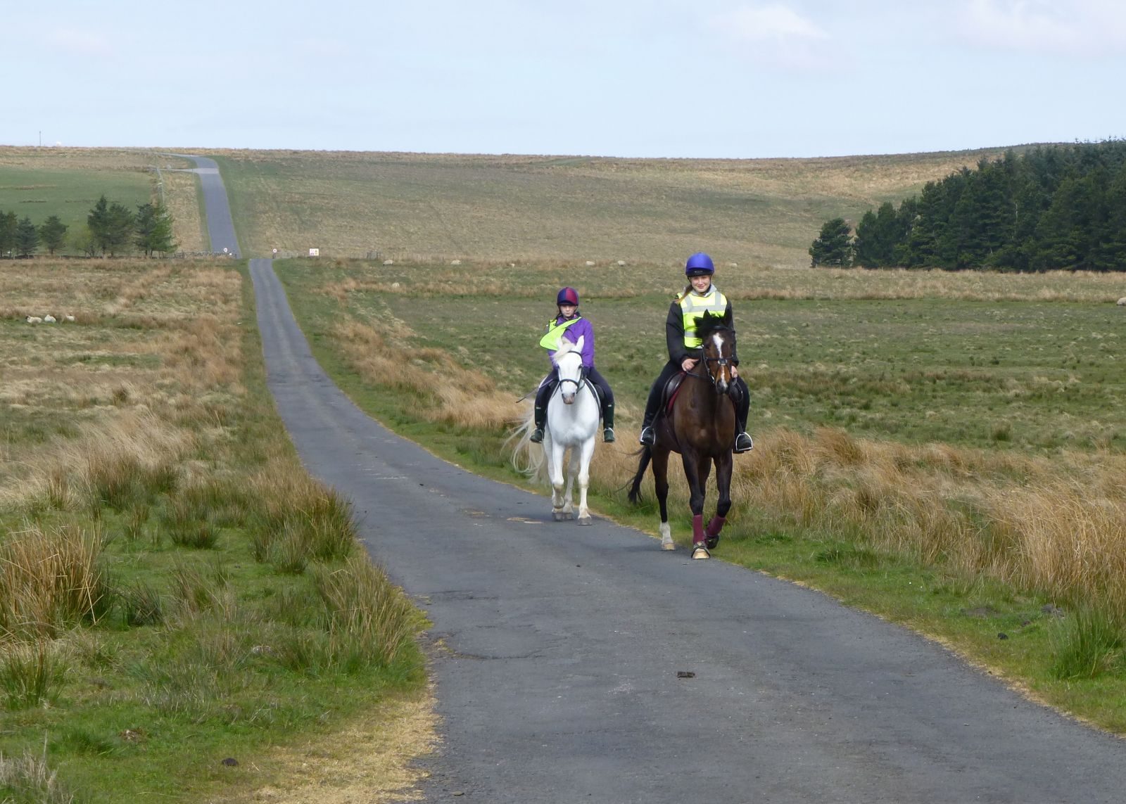 Horse riders on open moors — photo Russel Wills / Geograph, CC BY-SA 2.0