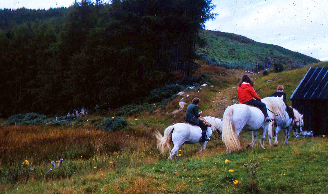 Pony trekking near Strathpeffer, Scotland — photo Phillip Capper, CC BY 2.0