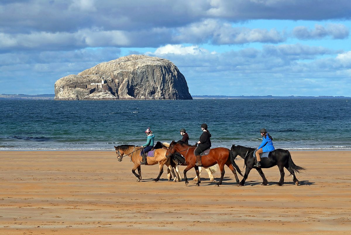 Horse riders at Seacliff Beach — photo Walter Baxter / Geograph, CC BY-SA 2.0