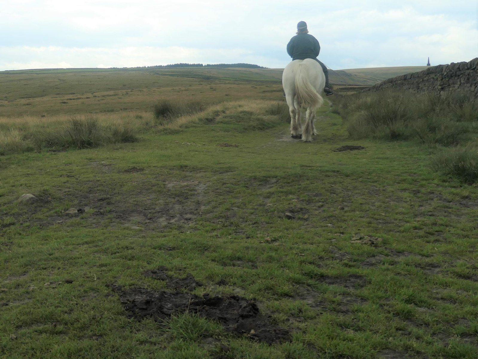 Horse and rider on open moorland — photo Christine Johnstone / Geograph, CC BY-SA 2.0